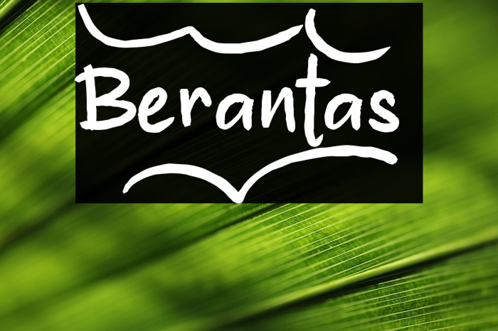 Berantas_ Example 3
