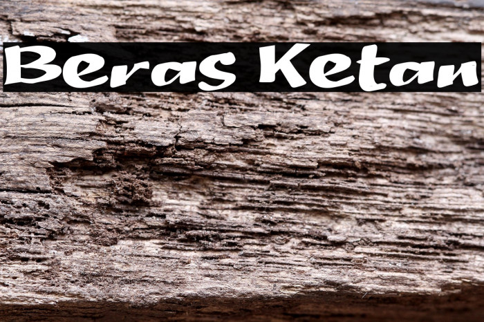 Beras Ketan Example 3