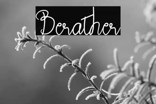 Berather Font examples