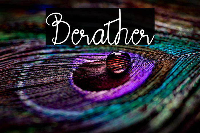 Berather Example 3