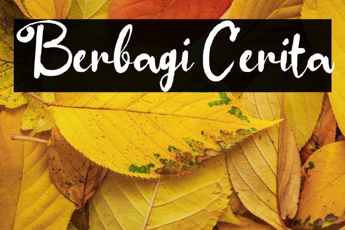 Berbagi Cerita Example 2