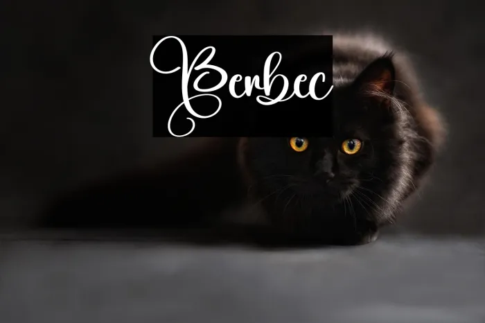Berbec Example 2