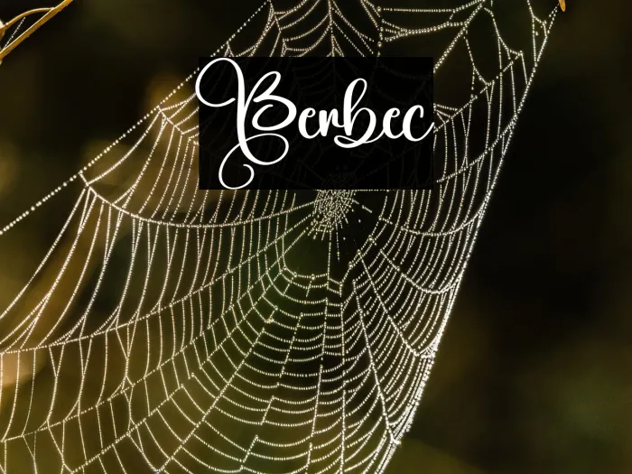 Berbec Example 3