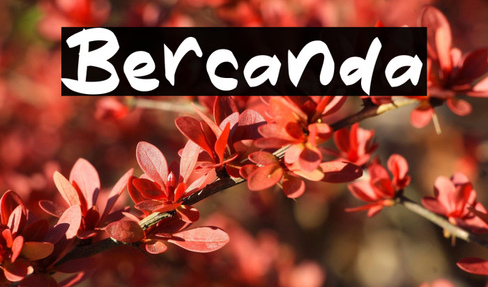 Bercanda Example 1