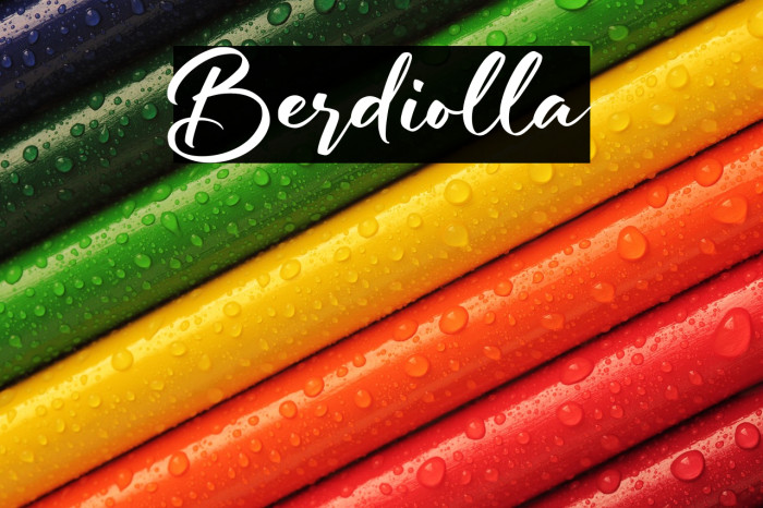 Berdiolla Example 1