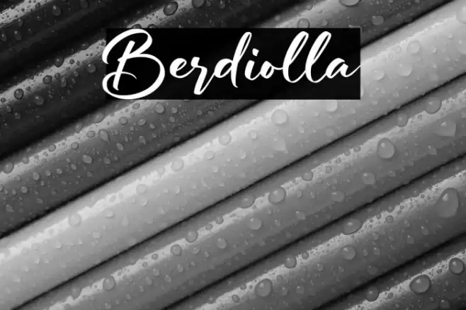 Berdiolla Font examples