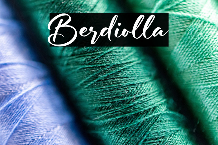 Berdiolla Example 3