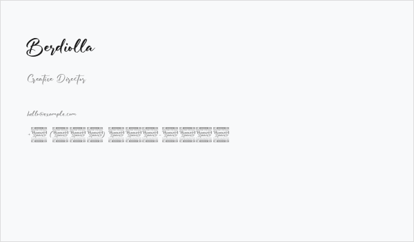 Berdiolla Business Card