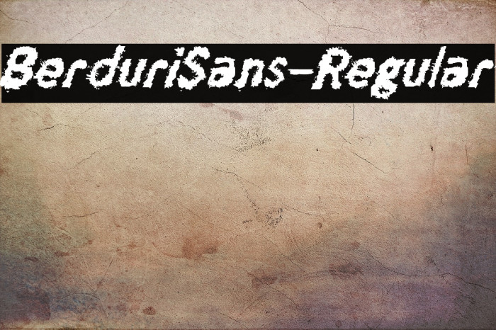 BerduriSans-Regular Example 1