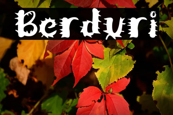 Berduri Example 1