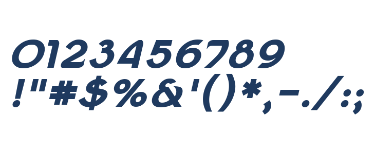 Berenika Bold Oblique Other Characters