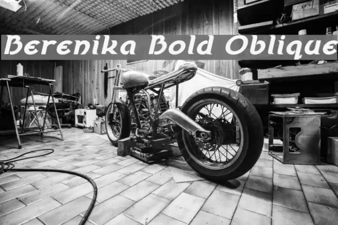 Berenika Bold Oblique Font examples