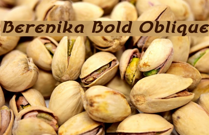 Berenika Bold Oblique Example 3