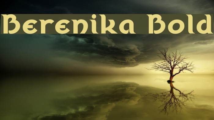 Berenika Bold Example 2