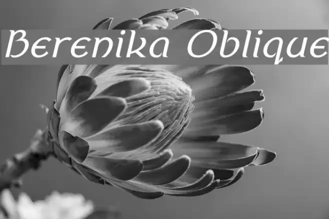 Berenika Oblique Font examples