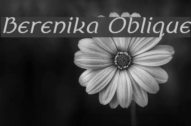Berenika Oblique Font examples