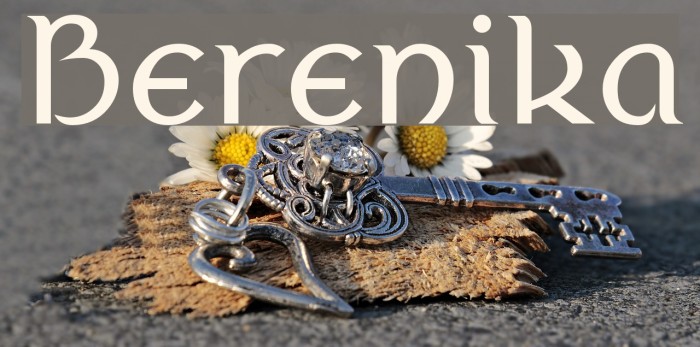 Berenika Example 1