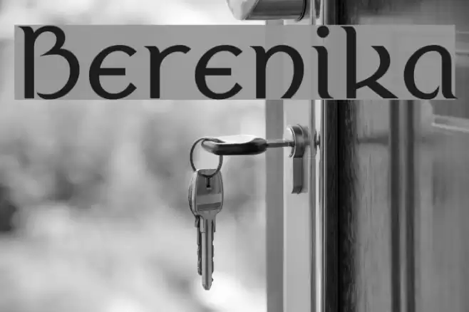 Berenika Font examples
