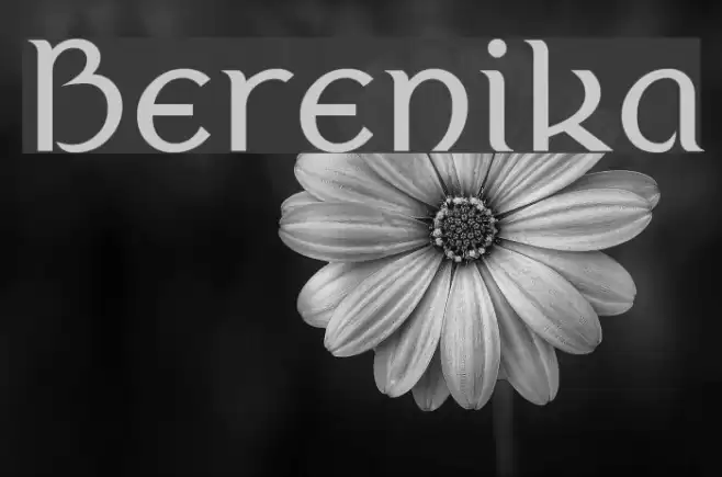 Berenika Font examples