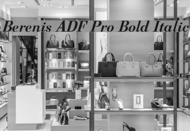 Berenis ADF Pro Bold Italic Font examples