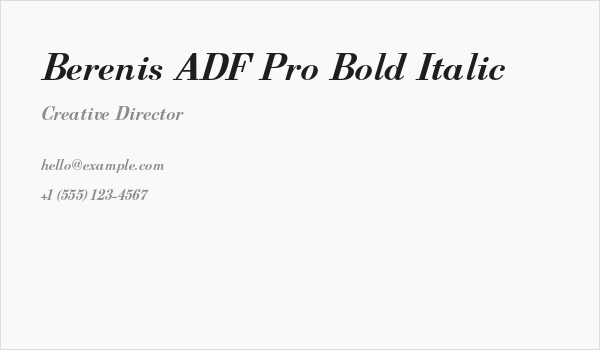 Berenis ADF Pro Bold Italic Business Card