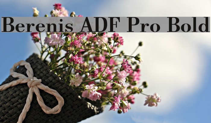 Berenis ADF Pro Bold Font examples