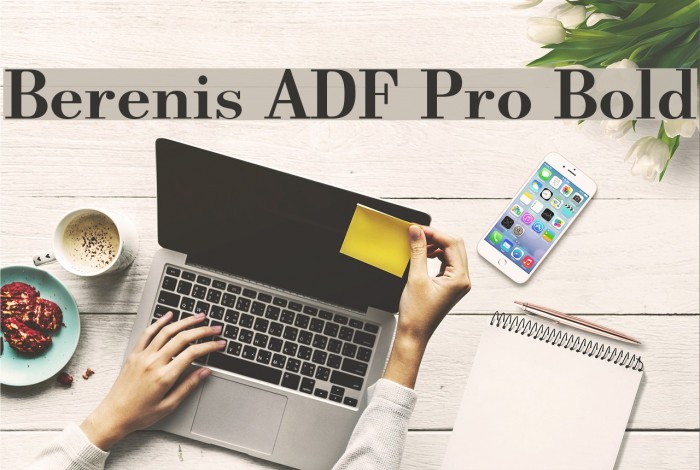 Berenis ADF Pro Bold Font examples