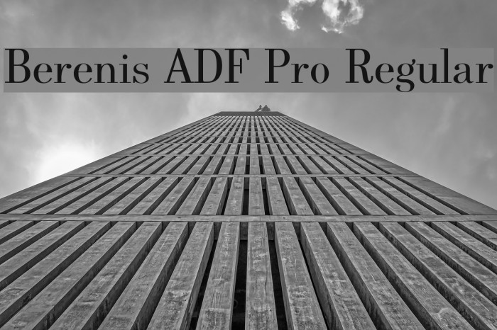 Berenis ADF Pro Regular Font examples