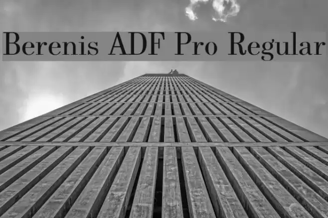 Berenis ADF Pro Regular Font examples