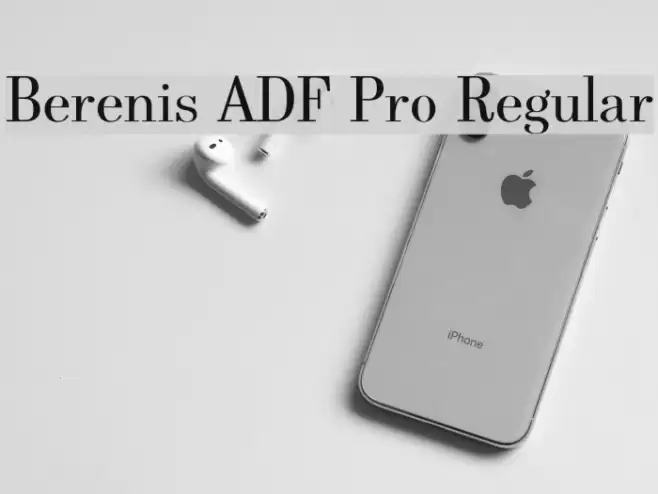 Berenis ADF Pro Regular Font examples