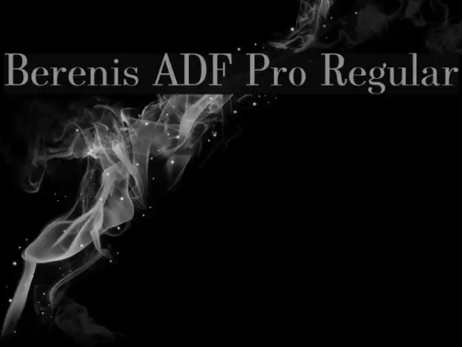 Berenis ADF Pro Regular Font examples