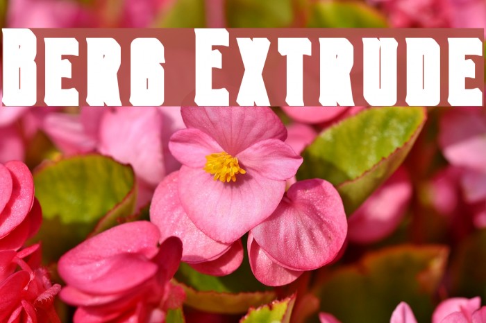 Berg Extrude Font examples