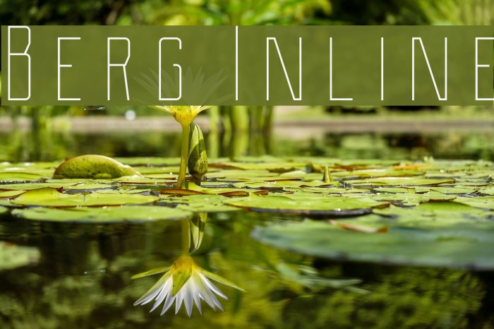 Berg Inline Font examples