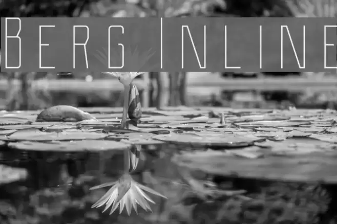 Berg Inline Font examples