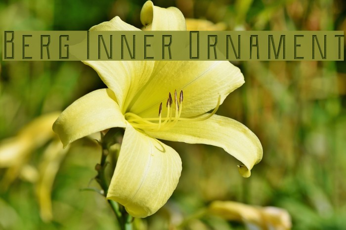 Berg Inner Ornament Font examples