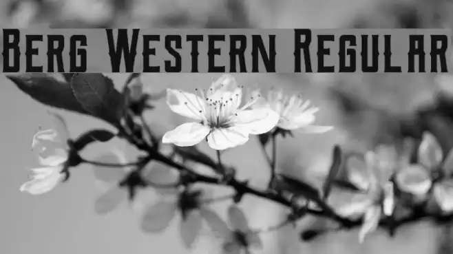 Berg Western Regular Font examples