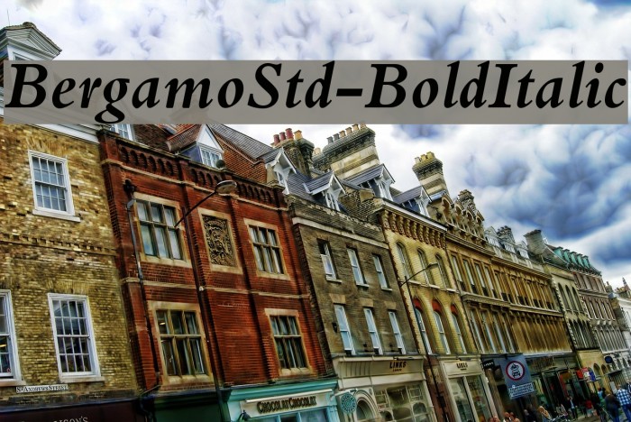 BergamoStd-BoldItalic Font examples