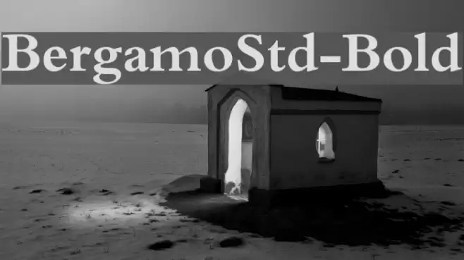 BergamoStd-Bold Font examples