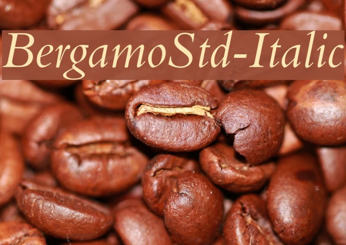 BergamoStd-Italic Font examples