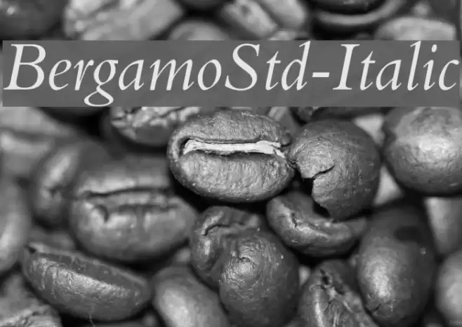 BergamoStd-Italic examples