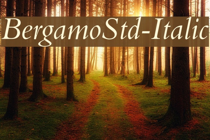 BergamoStd-Italic Font examples