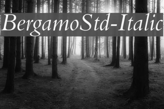 BergamoStd-Italic examples