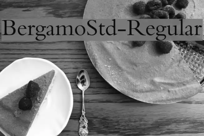 BergamoStd-Regular Font examples
