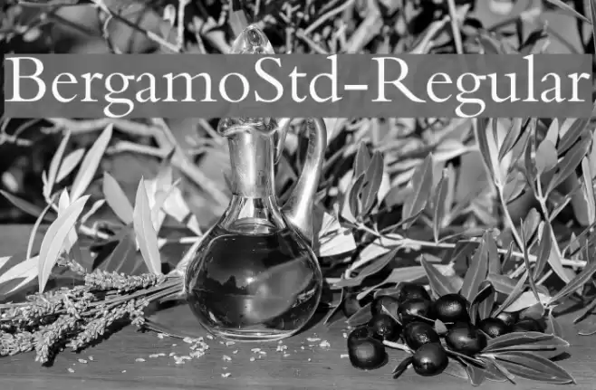 BergamoStd-Regular Font examples