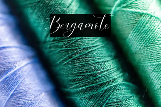 Bergamote Example 3