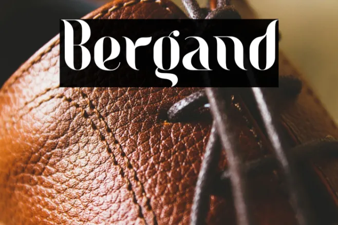 Bergand Example 1