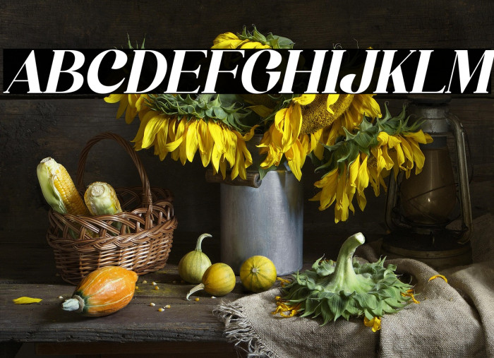 Bergante Italic Example 3