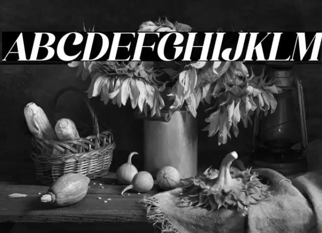 Bergante Italic Font examples