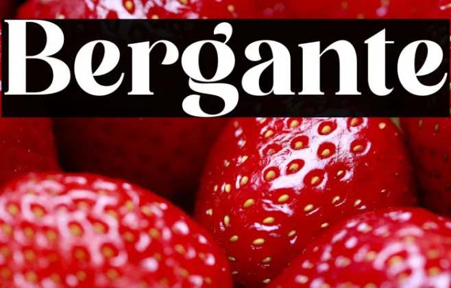 Bergante Example 2