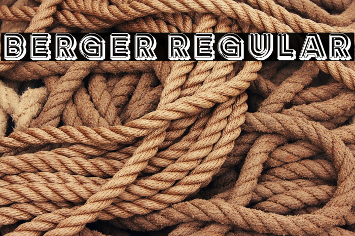 Berger Regular Example 1